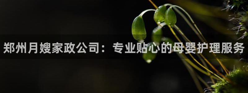 杏悦t首选推荐平台