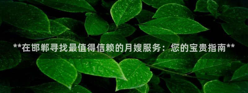 杏悦平台代理怎么做