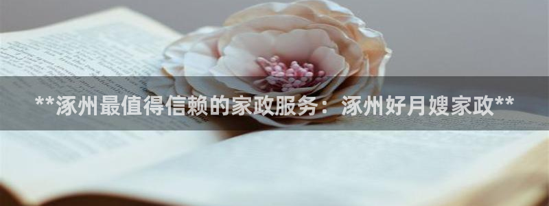 杏悦官网登录入口网址