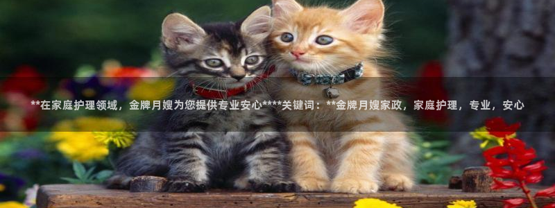杏悦平台代理