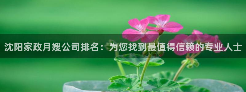 杏悦平台线路测速