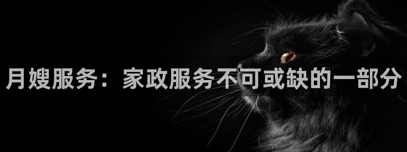 杏悦娱乐怎么玩