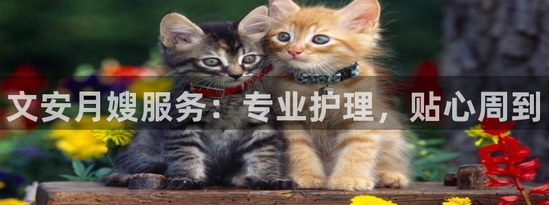 杏悦登陆地址