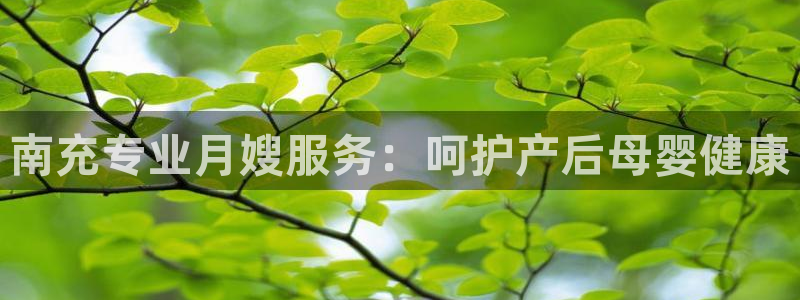 杏悦平台主管
