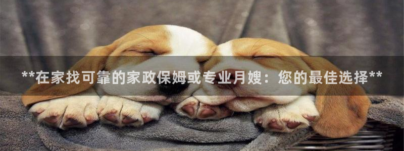 杏悦平台代理怎么做赚钱
