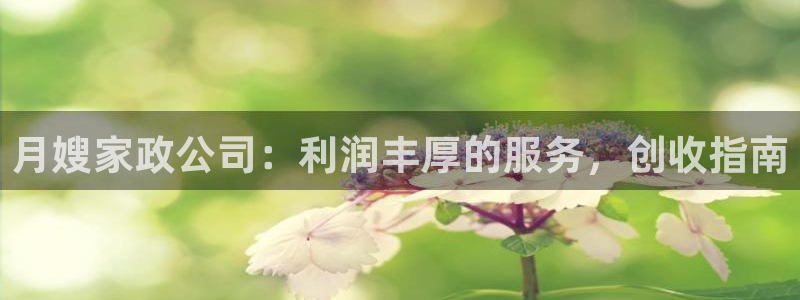 杏悦平台招商怎么样