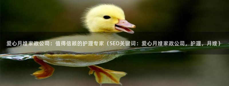 杏悦平台代理怎么赚钱的
