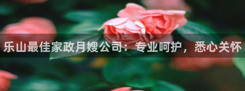 杏悦平台代理怎么赚钱的