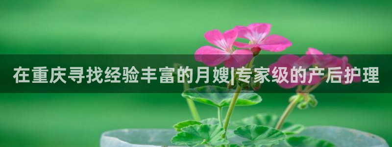 杏悦平台注册地址