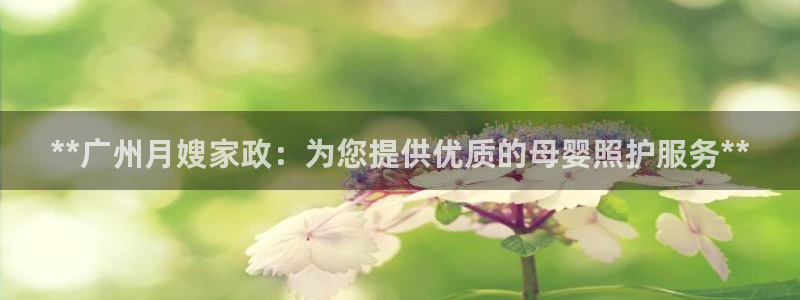 杏悦平台代理怎么赚钱的