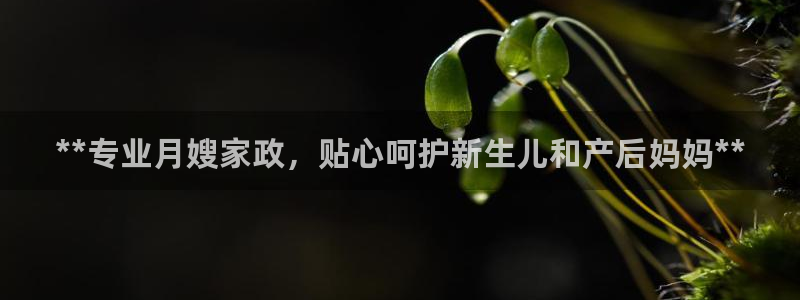 杏悦官方平台官网首页