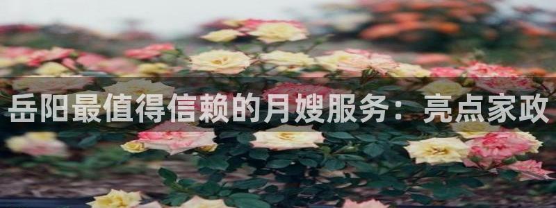 杏悦官方平台