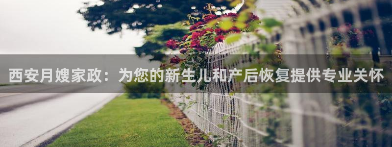 杏悦平台代理怎么赚钱的