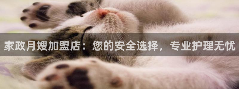 杏悦官网注册信息在哪里