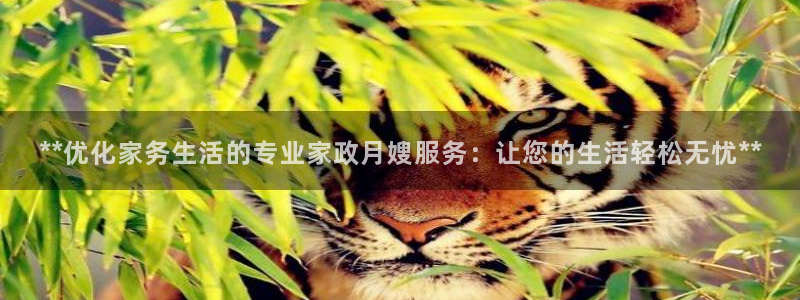 杏悦主管