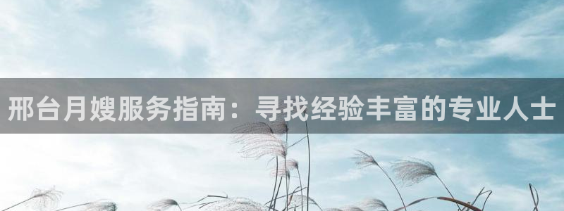 杏悦平台登录入口官网