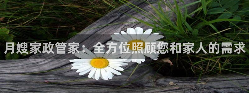 杏悦登录网址是什么