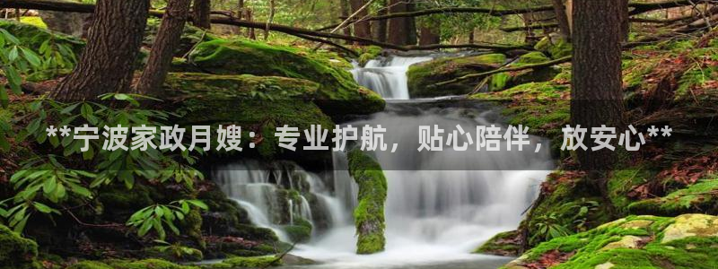杏悦官方平台官网