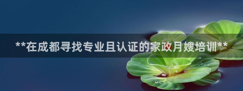 杏悦登陆地址