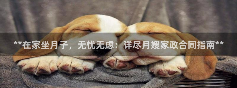 杏悦1招商地址