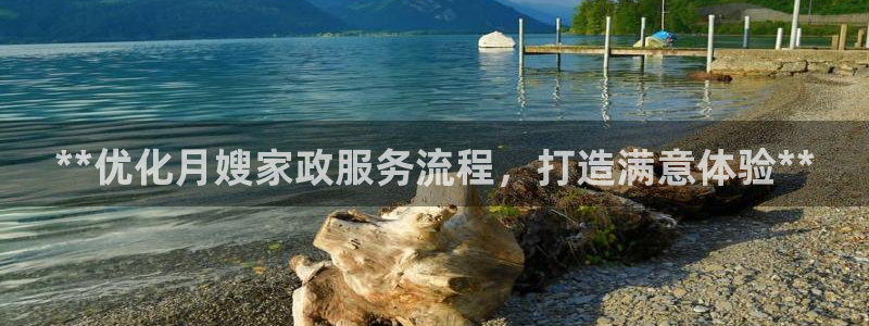杏悦是什么平台