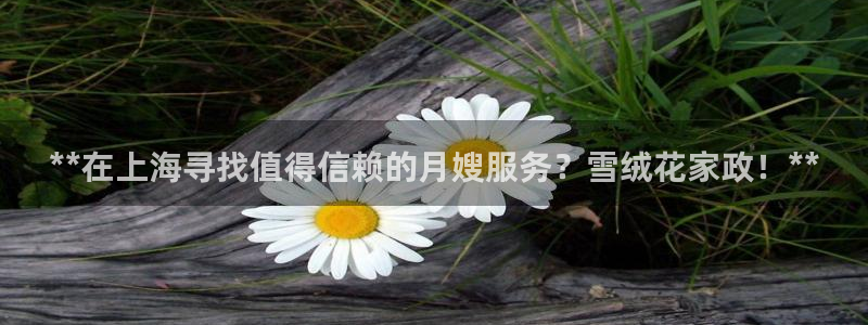 杏悦平台招商