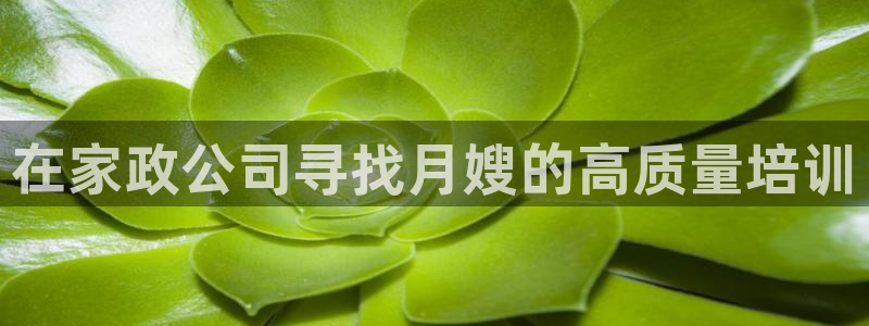 杏悦官网登录入口网址是什么