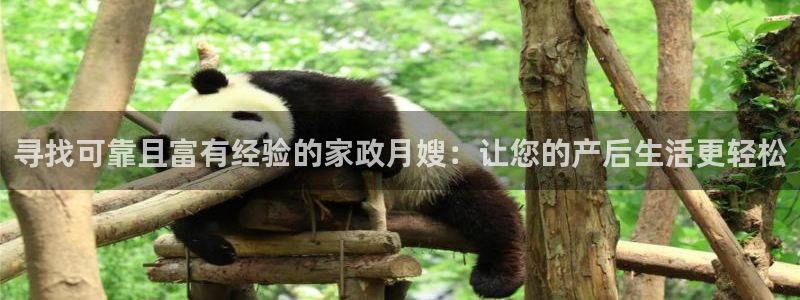 杏悦平台代理怎么做