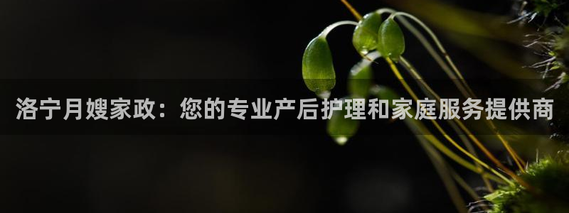 杏悦官网