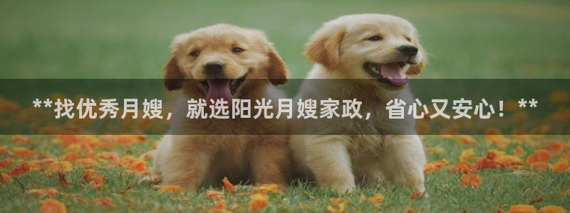 杏悦登陆地址