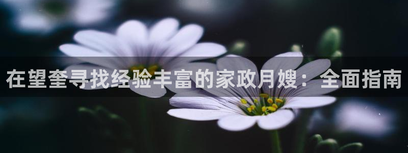 杏悦1招商地址