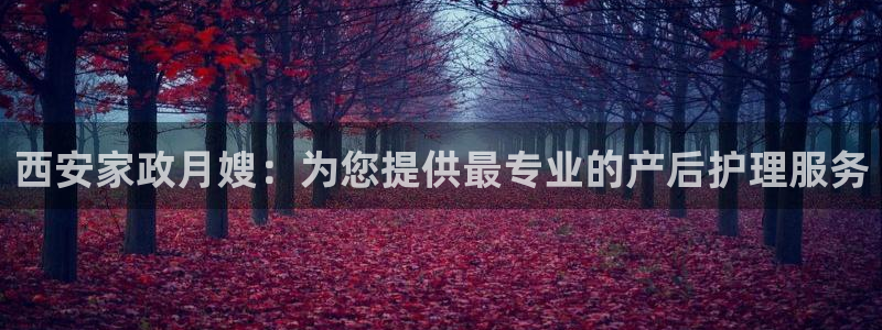 杏悦平台代理怎么做