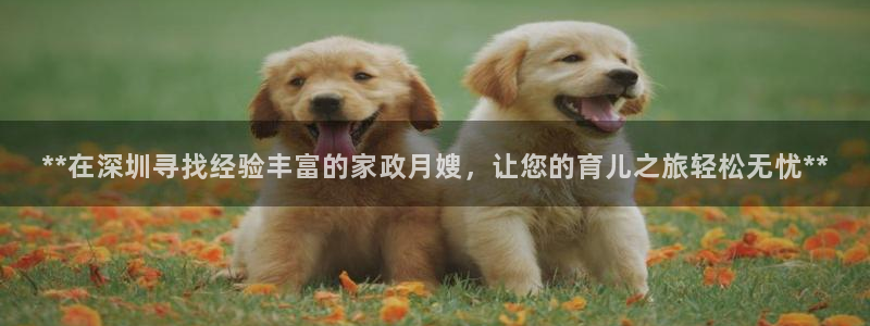 杏悦平台招商