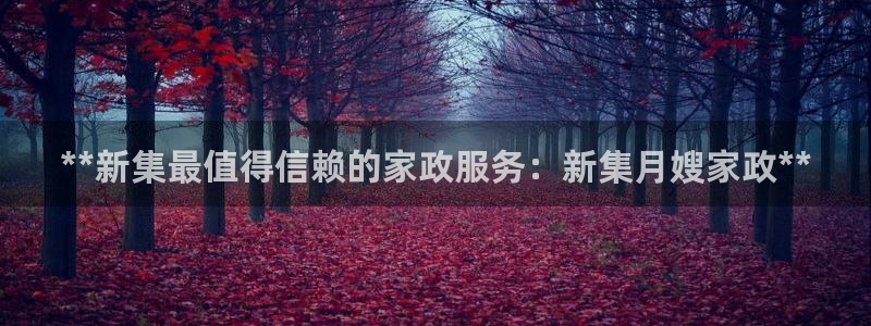 杏悦平台代理