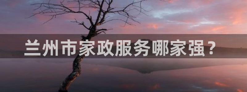 杏悦招商地址