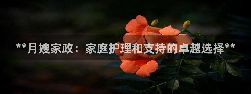 杏悦平台招商