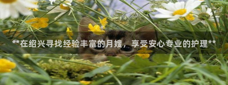 杏悦娱乐是什么