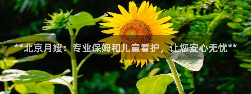 杏悦 -首选推荐平台