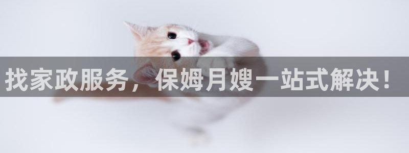 杏悦登入