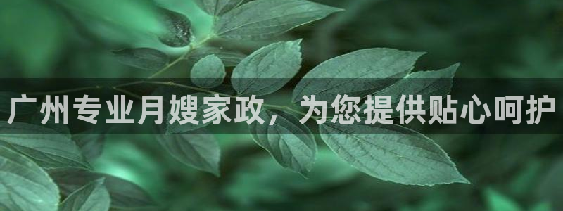 杏悦平台代理怎么做的