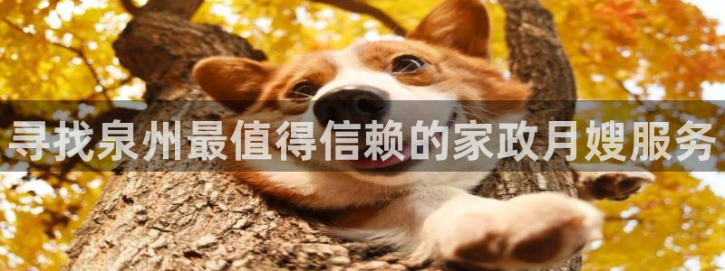 杏悦平台招商