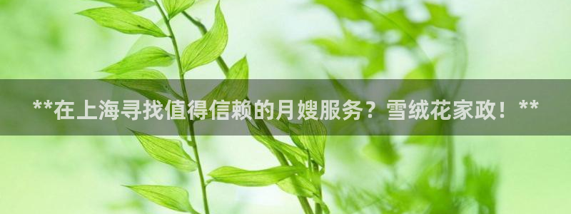 杏悦平台代理怎么样啊