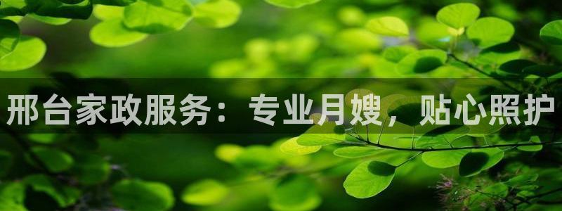 杏悦平台招商