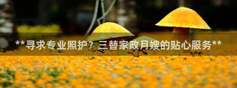 杏悦官网