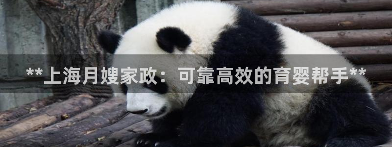 杏悦平台可靠吗是真的吗知乎