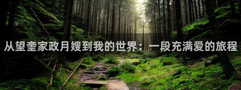 杏悦1招商地址