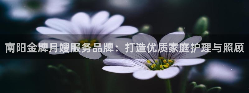 杏悦官方平台