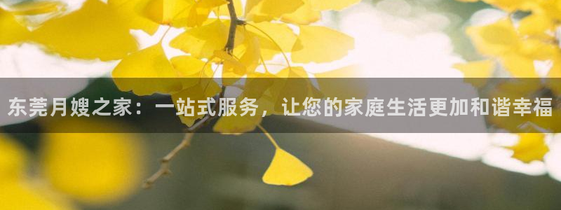 杏悦平台开户地址怎么改