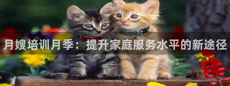 杏悦靠谱吗