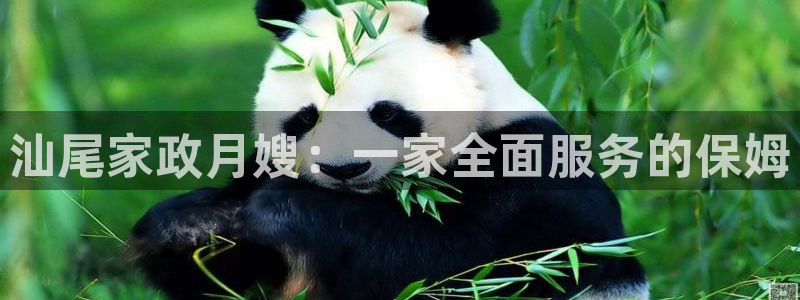 杏悦官方平台官网入口